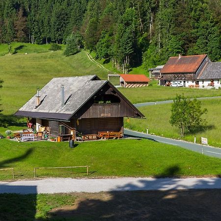 Brunarica Bled Zatrnik Pokljuka Exteriör bild