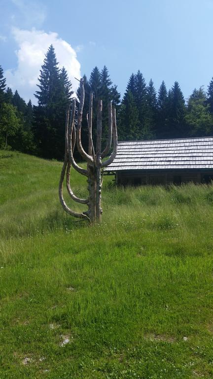 Brunarica Bled Zatrnik Pokljuka Exteriör bild