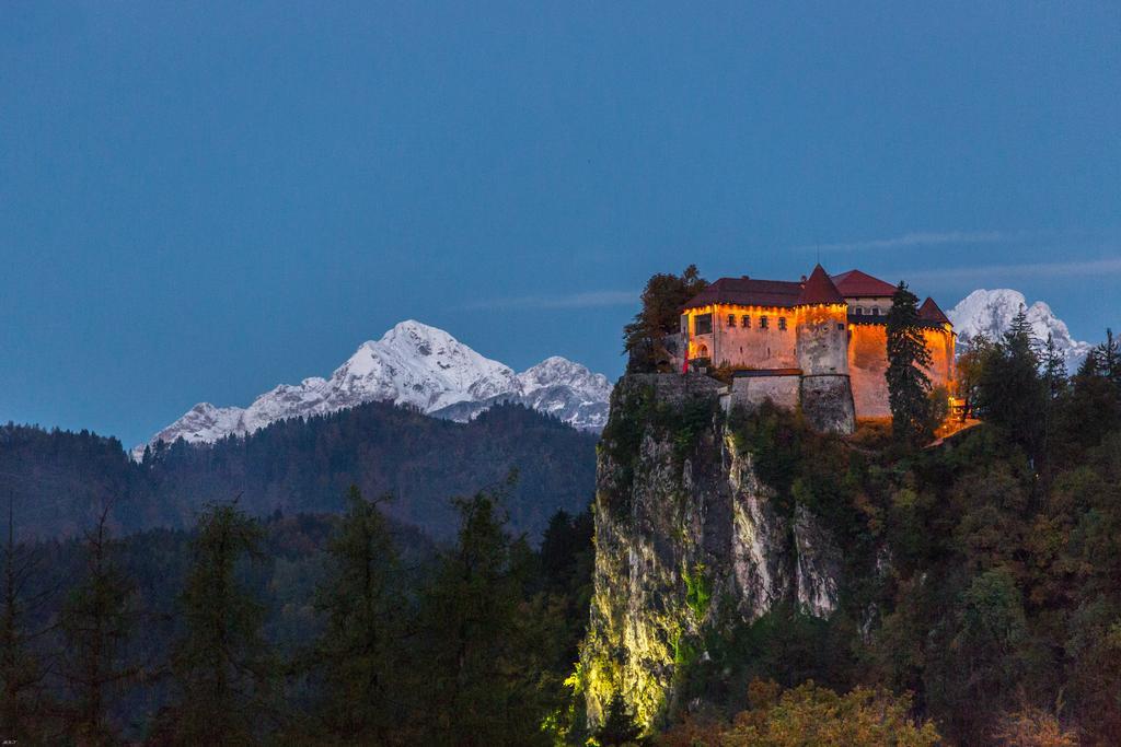 Brunarica Bled Zatrnik Pokljuka Exteriör bild