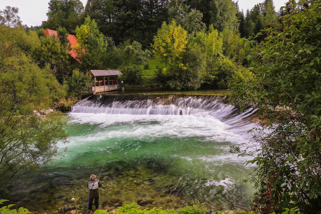 Brunarica Bled Zatrnik Pokljuka Exteriör bild