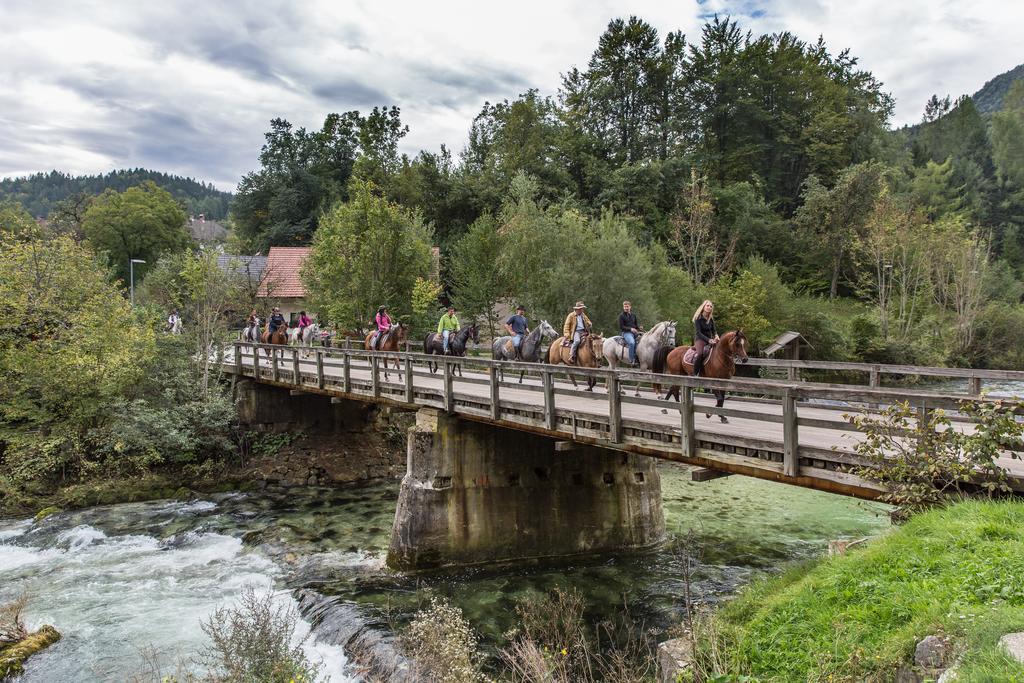 Brunarica Bled Zatrnik Pokljuka Exteriör bild