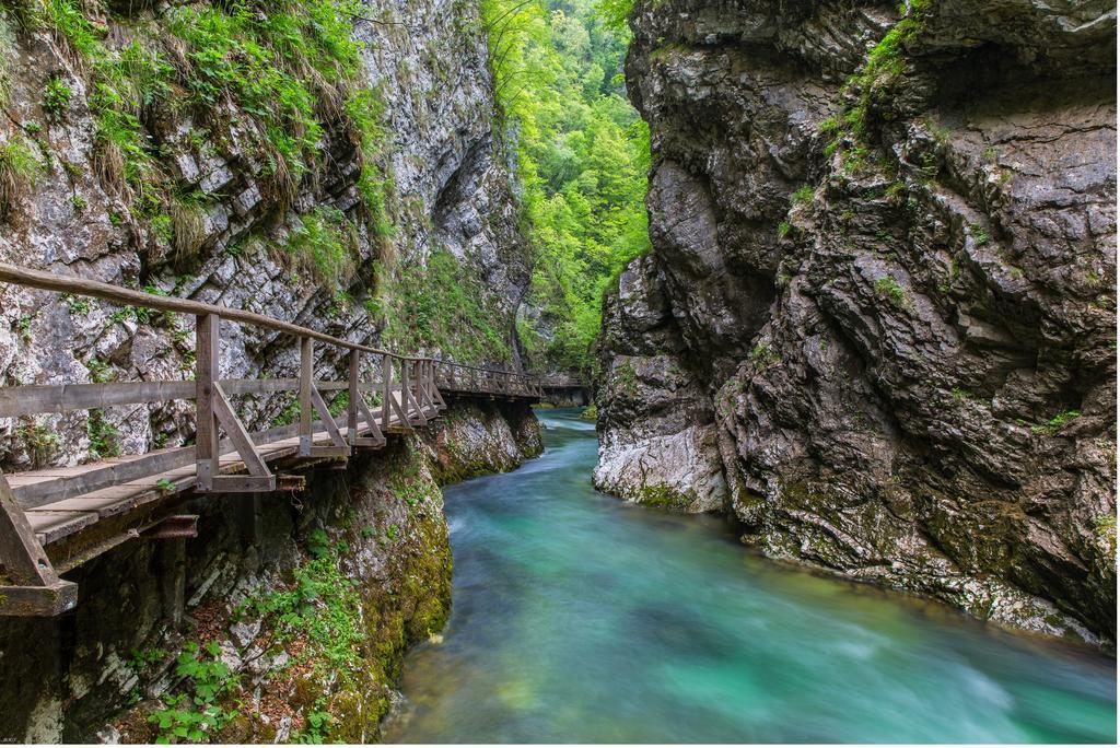 Brunarica Bled Zatrnik Pokljuka Exteriör bild