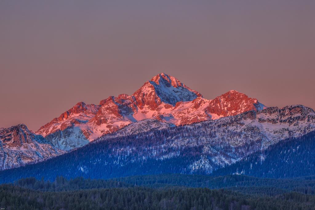 Brunarica Bled Zatrnik Pokljuka Exteriör bild